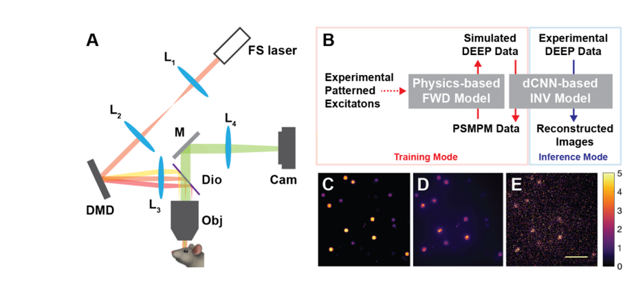 New paper is posted on arxiv. org