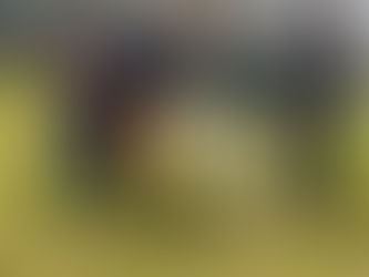 Solar Eclipse was amazing!