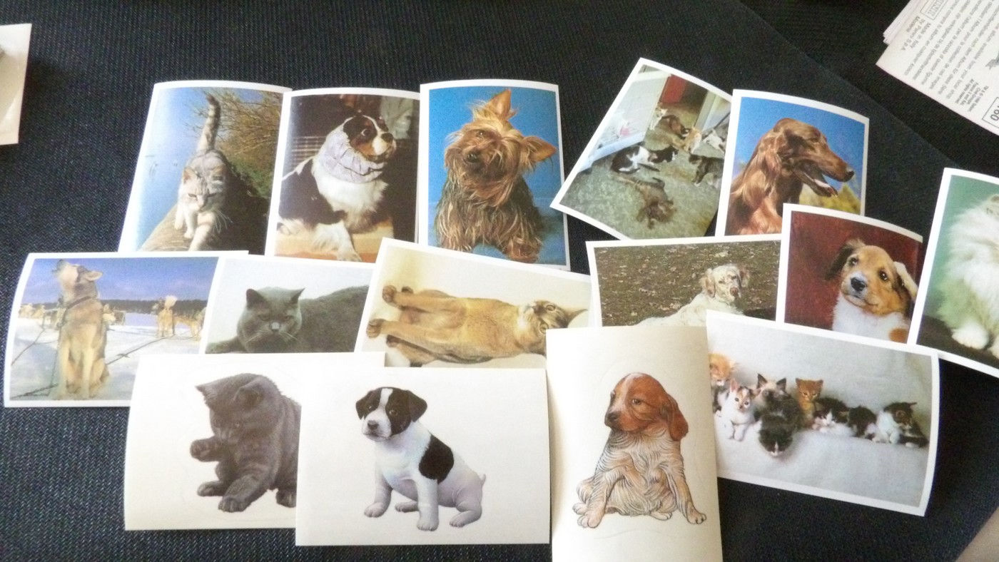 Images Panini, 'Chiens & Chats' DS Collection 1997, à l'unité.