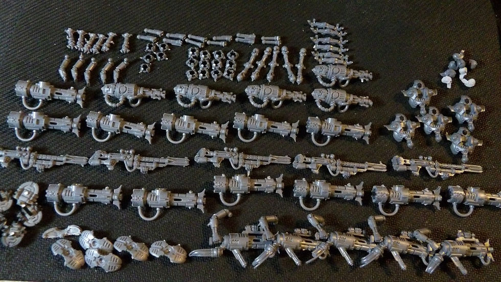 Rabiots Nécron, Warhammer 40K