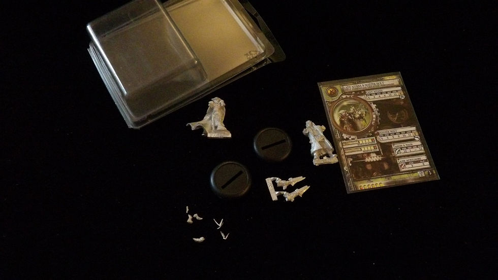 Miniature : Figurine Mercenaires: Lady Aiyana & Master Holt