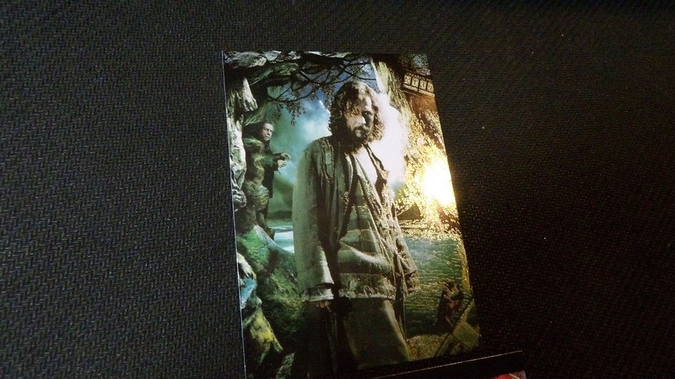 Miniature : Carte Harry Potter, Movie Collection, Panini 2021, Holographique C9/50