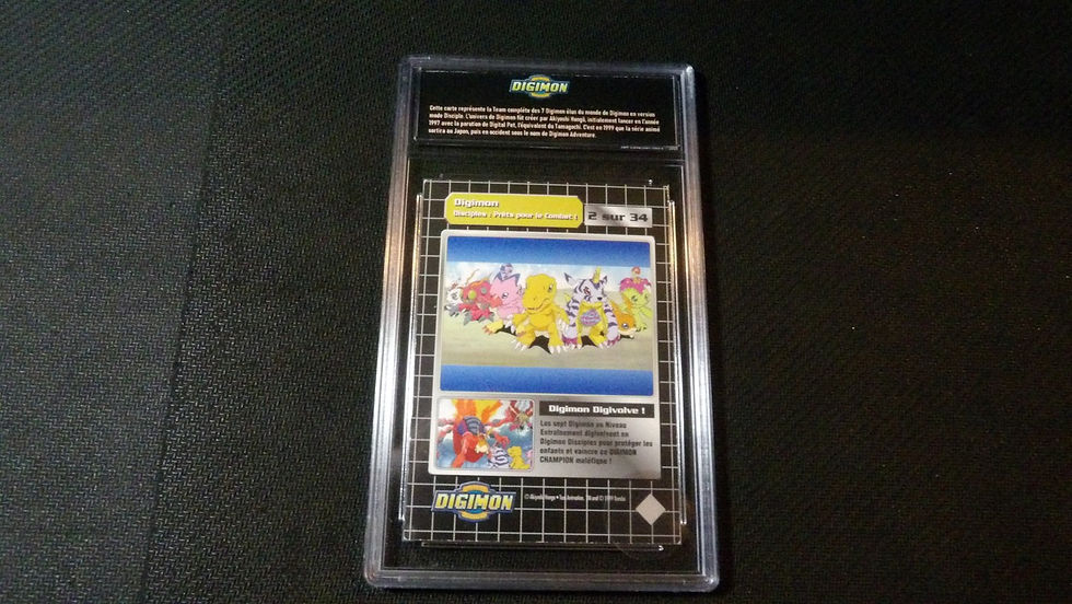 Miniature : Carte Digimon 'Prêt pour le combat Disciples' 2/34' CCG TV animation 1999