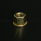 Blade Nut T 411 Y.jpg