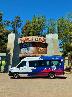 Passeio pelo Parque Safari em Santiago, Chile