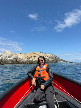 Passeio para a Ilha dos Lobos, Chile