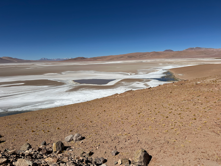 Passeio Ruta de los Salares, Atacama, Chile
