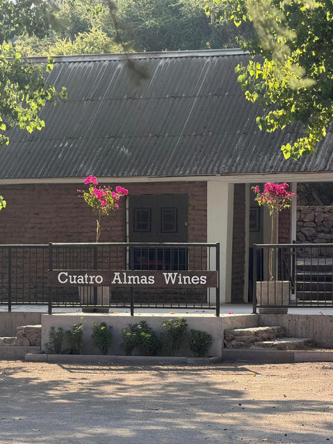 Passeio pela vinícola Cuatro Almas, em Santiago, Chile