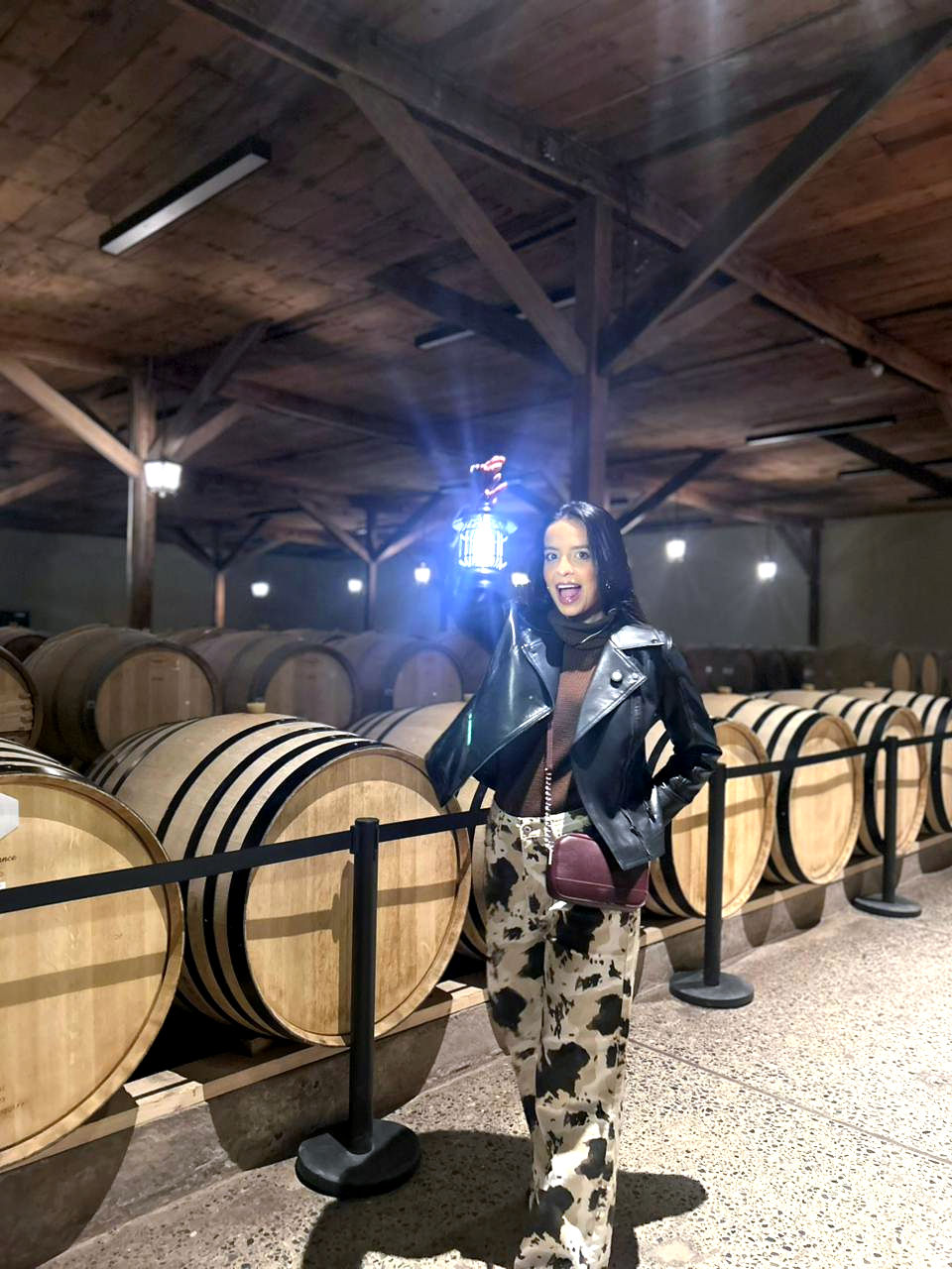 Concha y Toro, Casillero Nocturno