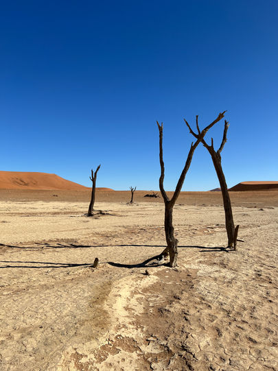 namibia19.JPG
