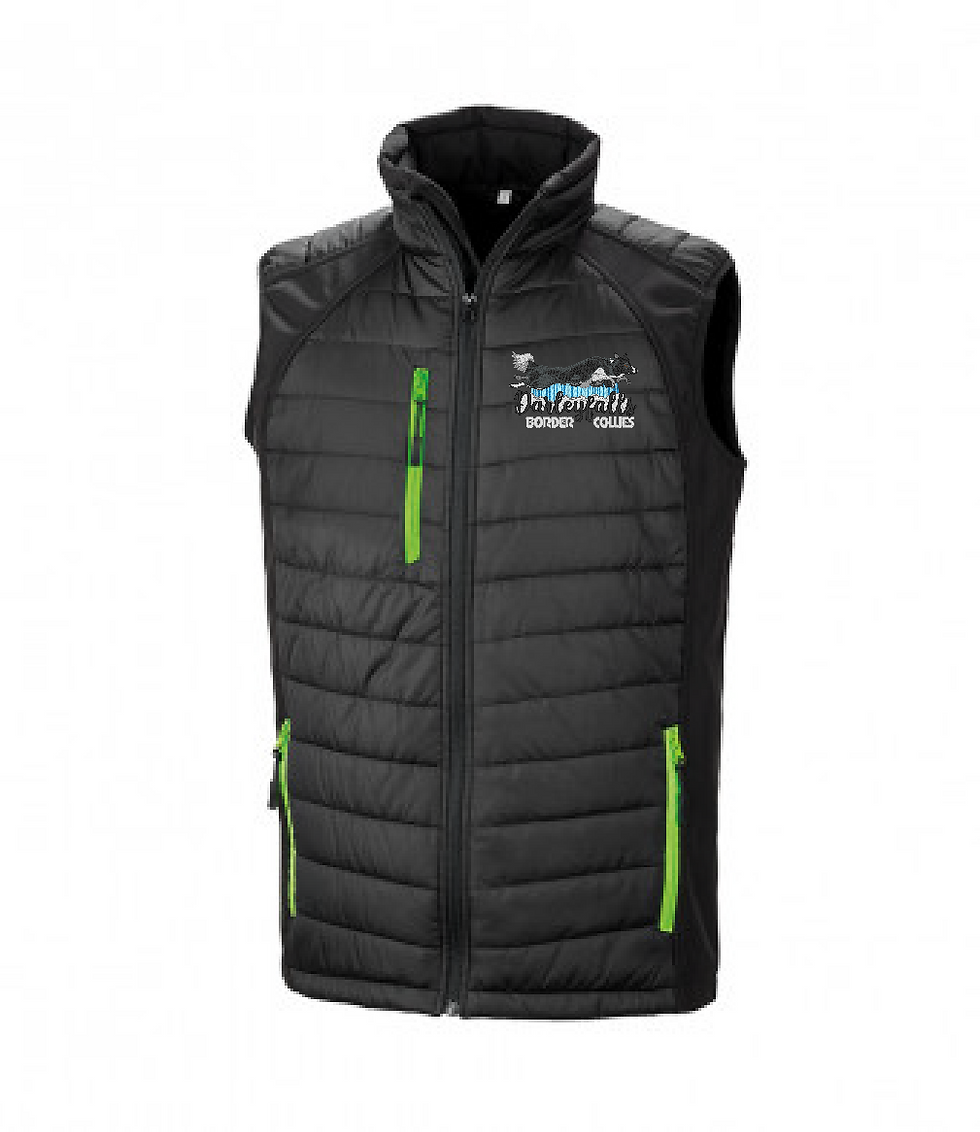 Thumbnail: Darleyfalls Border Collies - R238M Shell/Puffa Bodywarmer