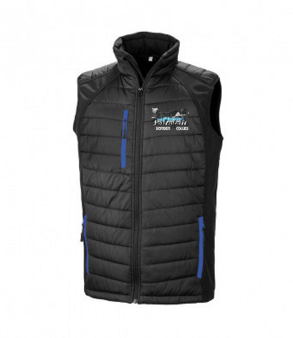 Thumbnail: Darleyfalls Border Collies - R238M Shell/Puffa Bodywarmer