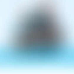 Wir kaufen regional bei unseren Partnern