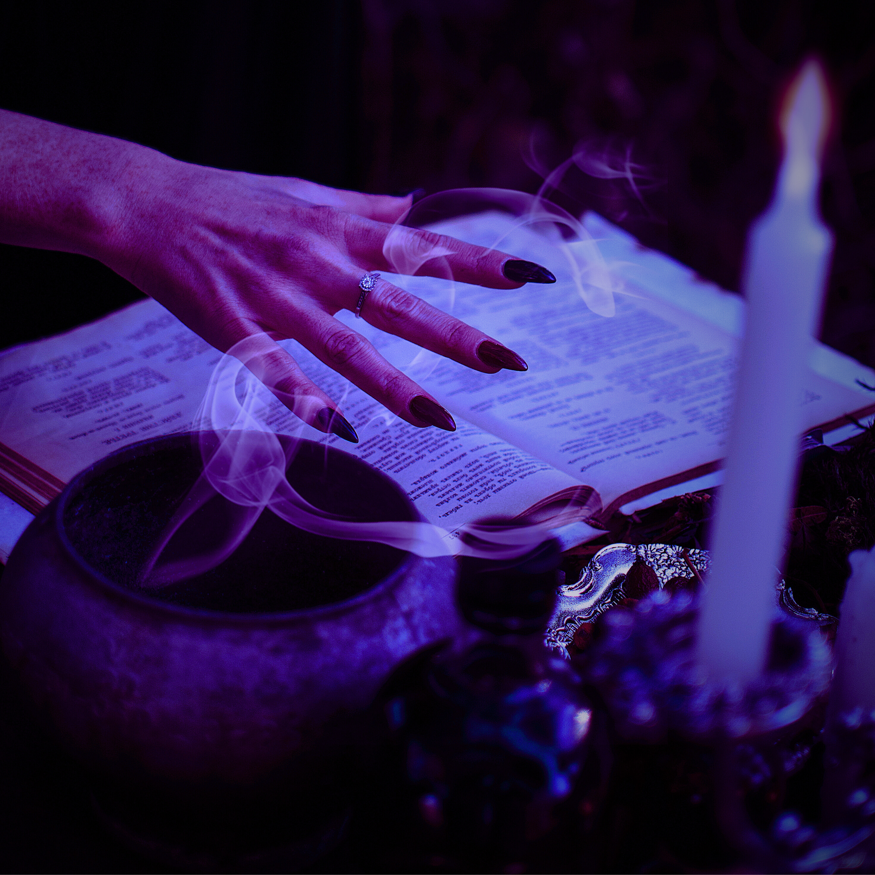 Touch of Magic Black Tea Literary Blend