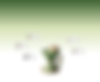 Copy of Website Images (6).png
