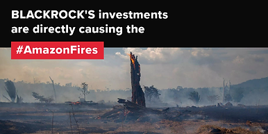 blackrock-deforestation-02-twitter (1).p