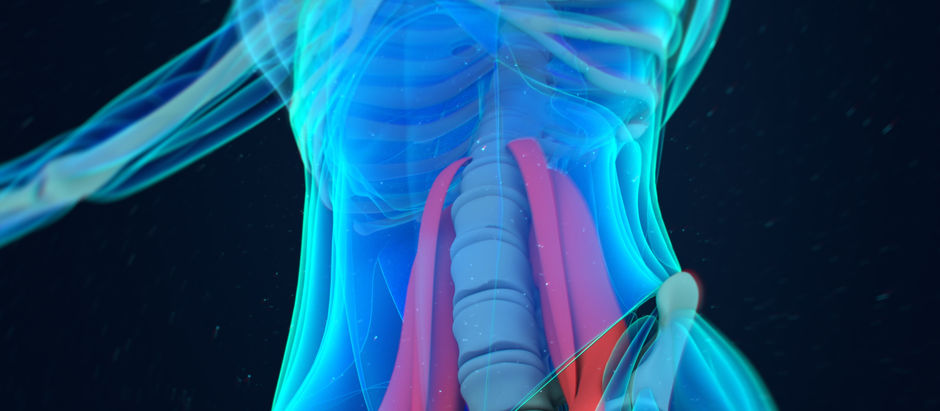 Your Hip Flexor and Your Fertility