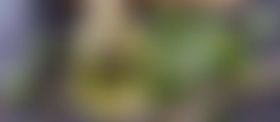 Castor Oil, Your Fertility Friend