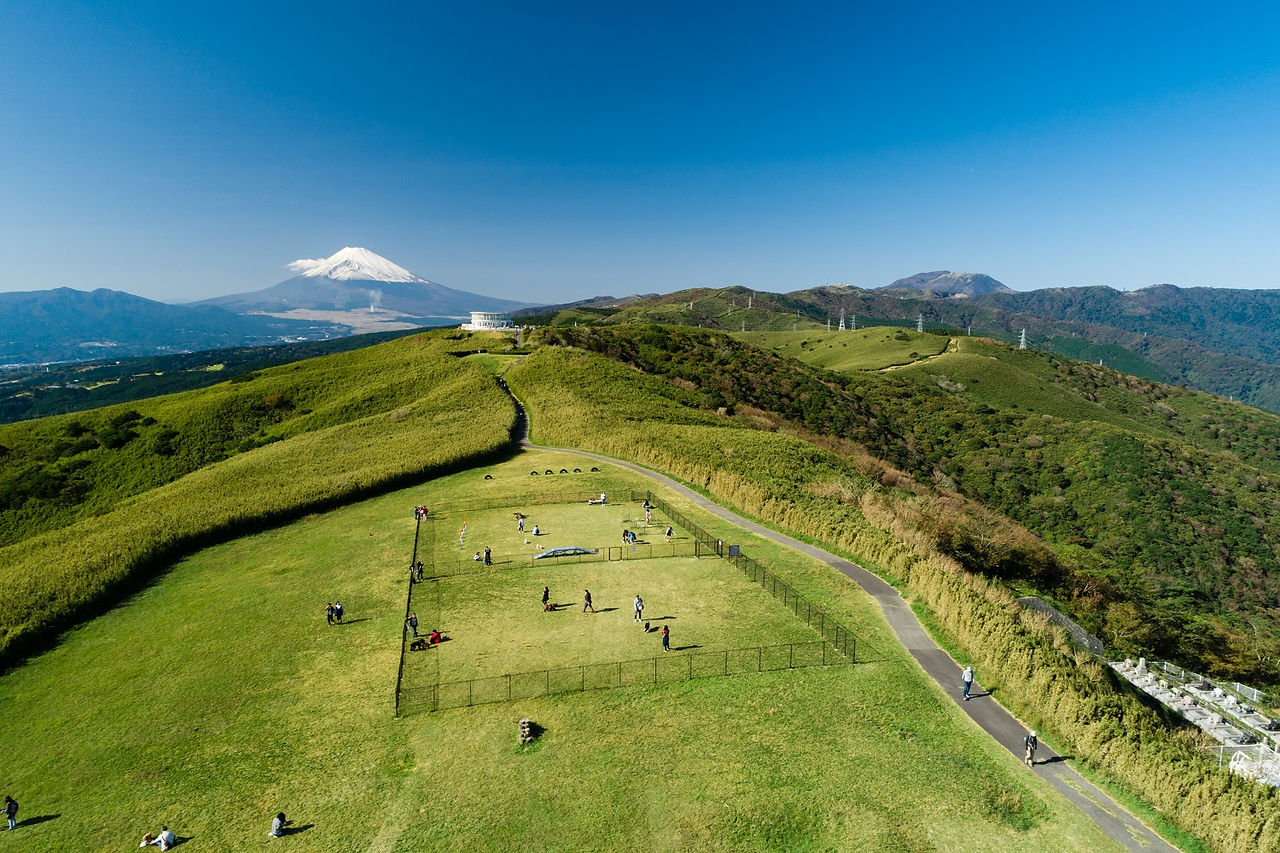 ◆十国峠山頂ドッグラン