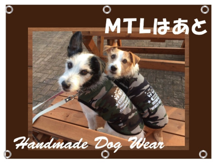 MTLはあと様
