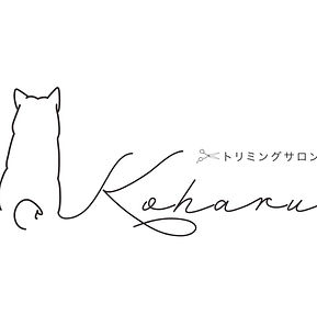 トリミングサロン小春.jpg