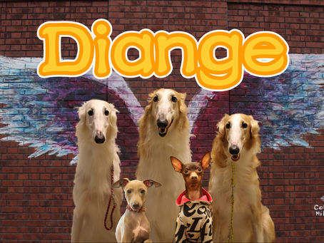 首輪とおやつの専門店Diange 様