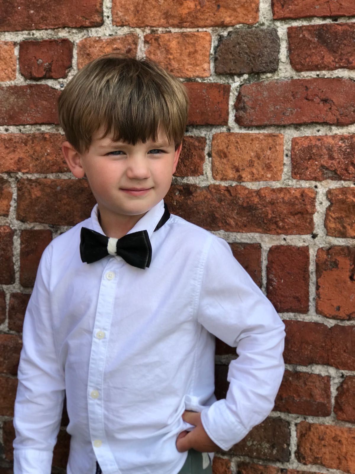 Children Cowhide Bowtie
