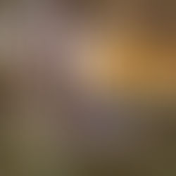 Becca Biggs Unveils Sophomore Album "The Comfort of Chaos"