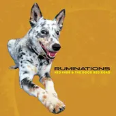 Ned Farr & The Good Red Road Release their Fifth Studio Album "RUMINATIONS"