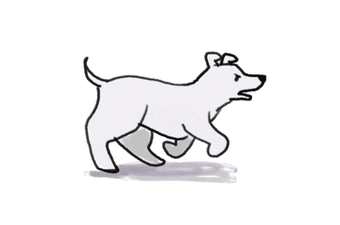 dog-running.gif