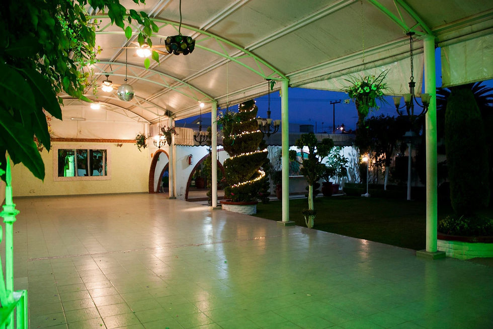 Interior del jardín