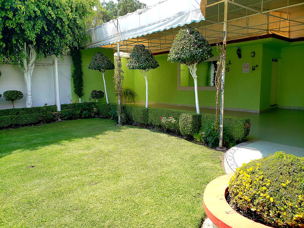 Area verde de día