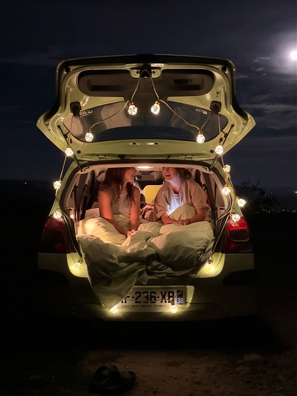 Miniature : Le guide du sommier de la Twingo