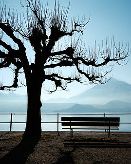 banc_1