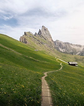 seceda_1
