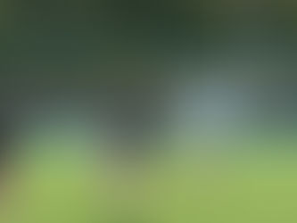 Senior Boys Rugby Blitz 18/9/25