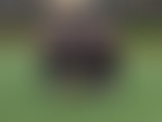 Senior Boys Soccer VS Luttrellstown community 11/12/25