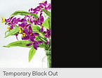 Temporary Blackout.png