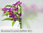 Brushed Crystal.png