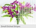 Small Etched Strioes.png