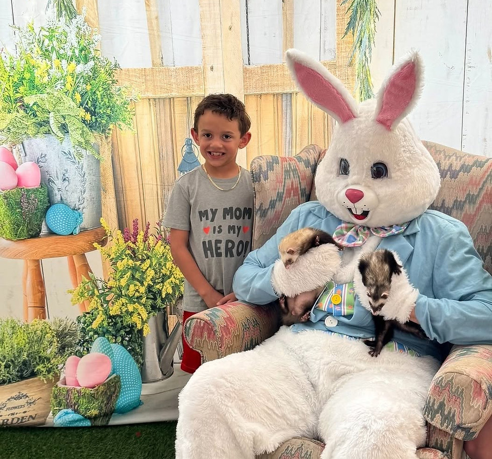 downtown-hop-around-event-kids-easter-bunny.jpg