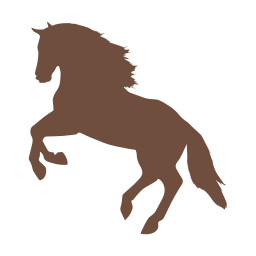 old-west-heritage-weatherford-texas.png