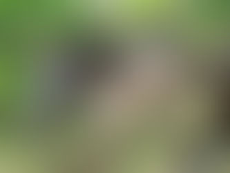 Go transformfoal 🤘🏻🤪