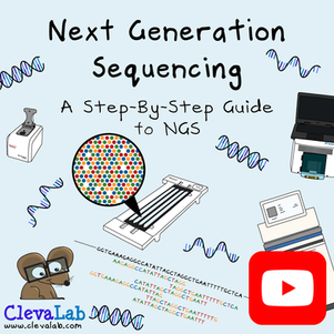 Next Generation Sequencing - A Step-By-Step Guide to NGS on the ClevaLab YouTube Channel.