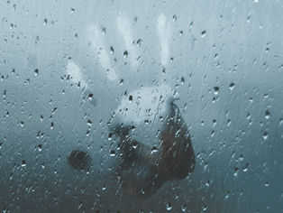 The Emotions of Loss: Revisiting Grief