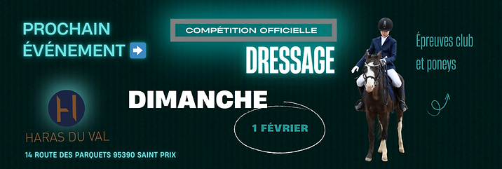 Dressage (800 x 269 px).png