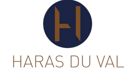 logo HV Canva_edited.png