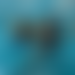 Swimming & SEND - Helping YP take part in swimming