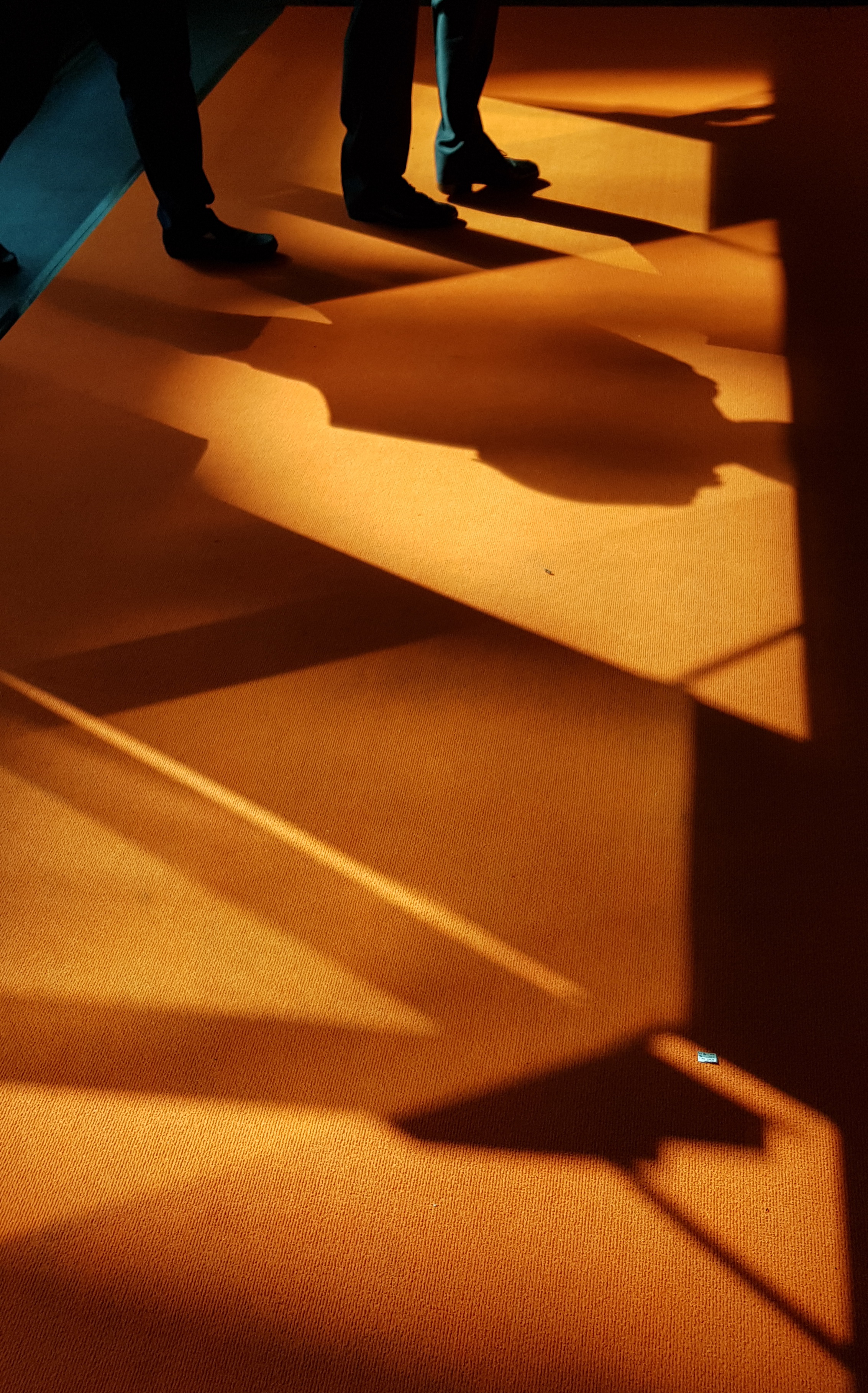 Marine Business Shadows