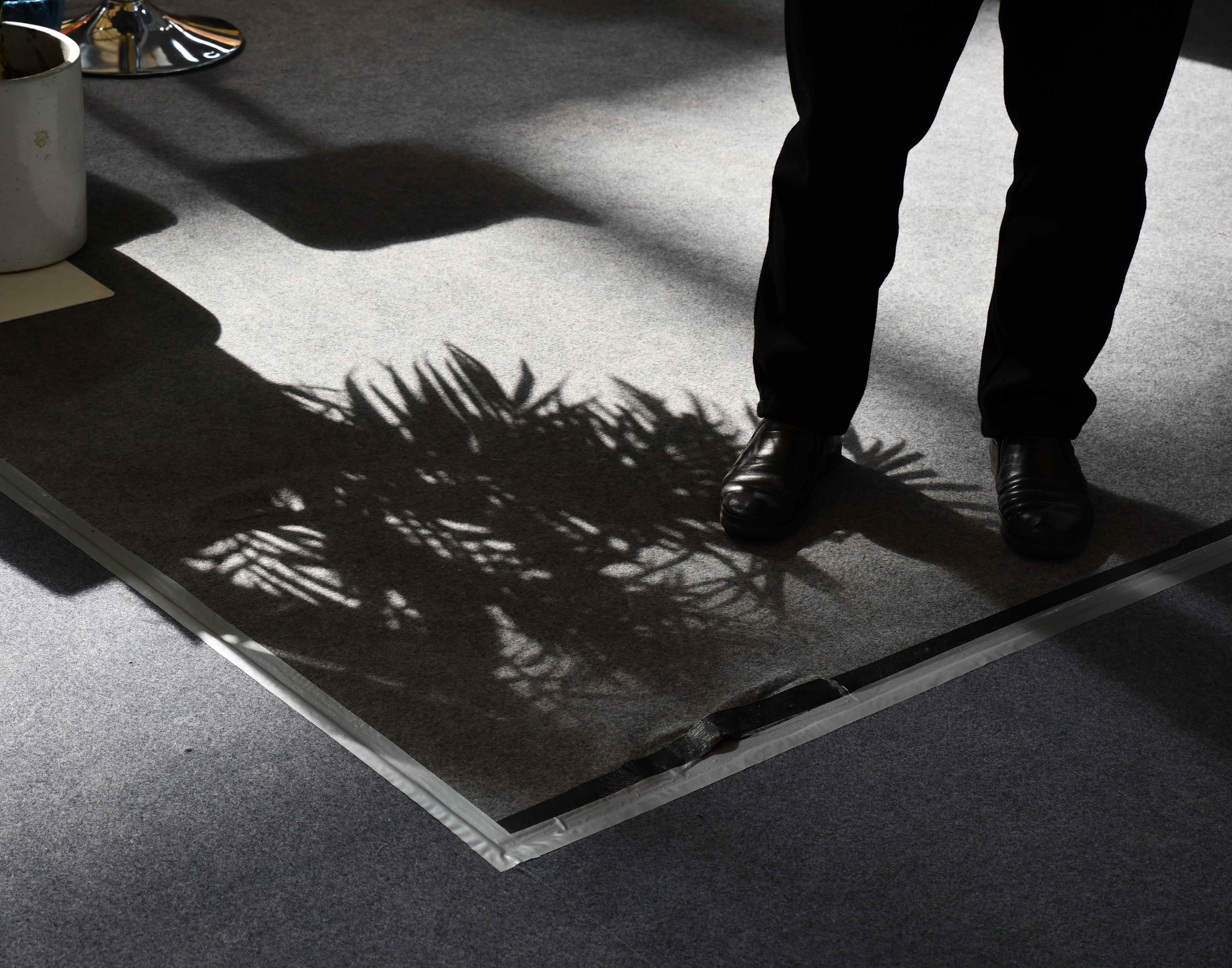 Marine Business Shadows